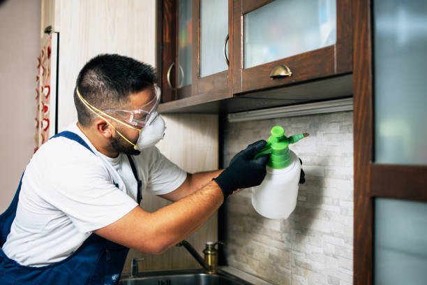 Best Pest Prevention Services  in Tiburon, CA