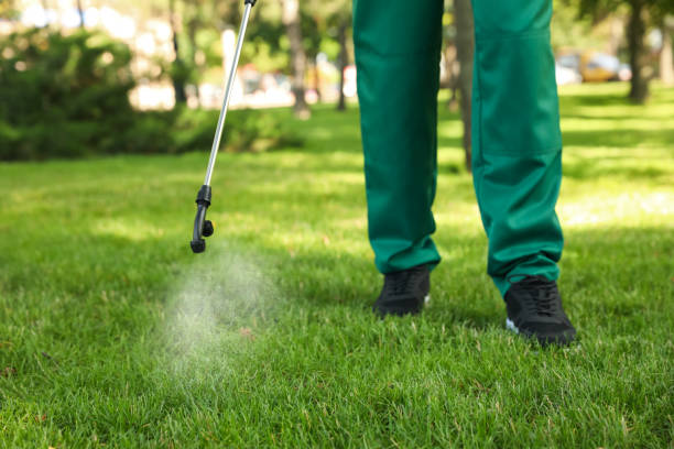 Flea Control Services in Tiburon, CA