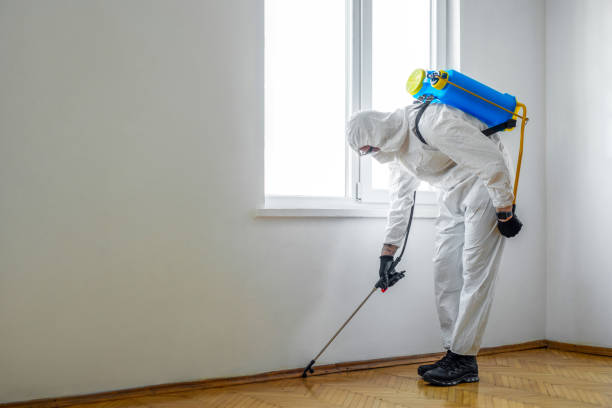 Best Bed Bug Extermination  in Tiburon, CA