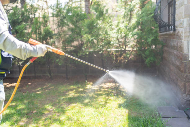Best Mosquito Control Services  in Tiburon, CA