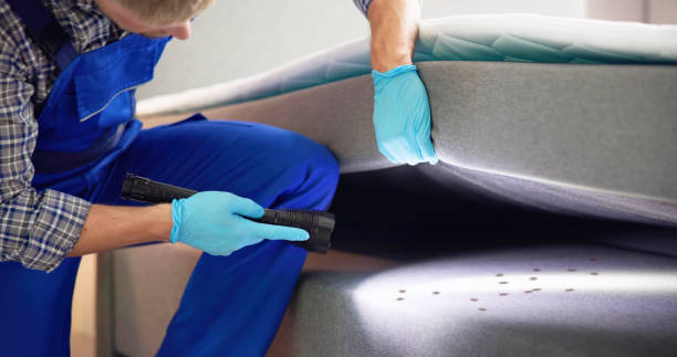 Best Affordable Pest Control Services  in Tiburon, CA