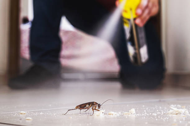 Best Pest Control for Businesses  in Tiburon, CA
